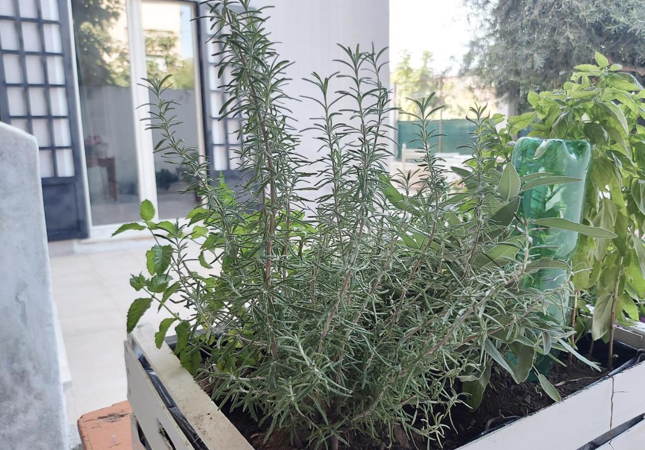 Appartamento Casa Qanat, Relax In Centro Palermo Esterno foto